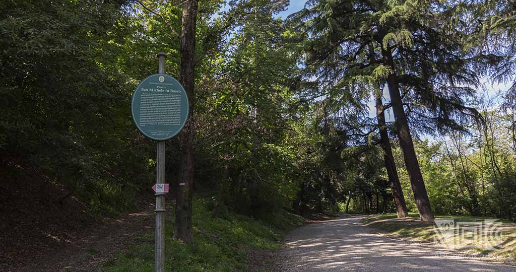 The park of San Michele in Bosco